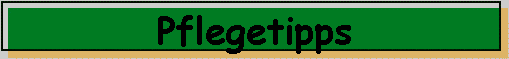 Pflegetipps